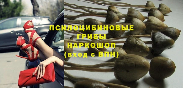 spice Алексеевка